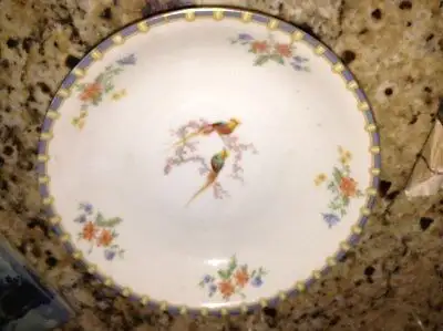 Antique bird of paradise plate for sale, View more