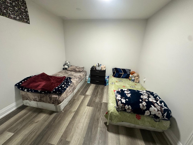 Need one girl for room sharing in two bedroom basement  in Room Rentals & Roommates in Mississauga / Peel Region