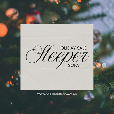 Holiday Sale on our Premium Sleeper Sofa! , View more