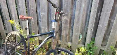 Mens Bicycle, View more