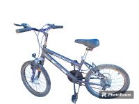 Ground breaker Sportex OST bike