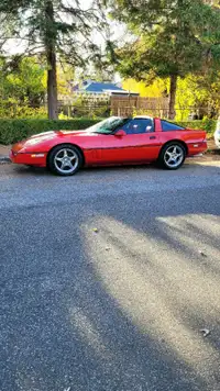 1986 corvette