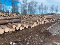 Tree harvesting for private land