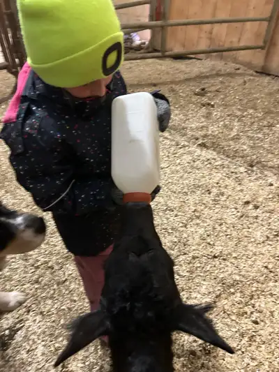 2 day old Sucks great 4034985015