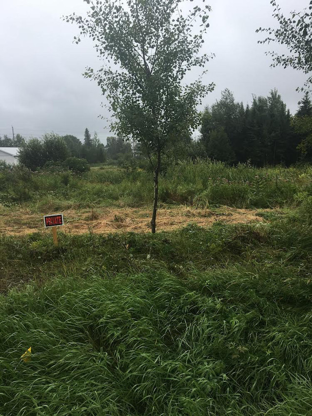 1/2 Acre Building Lot In Sundridge, Ontario. Land for Sale Muskoka