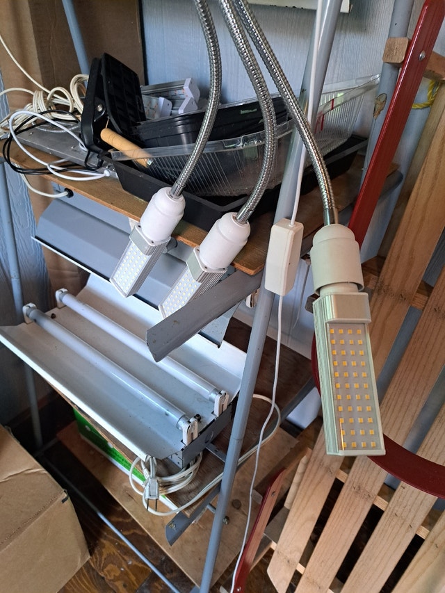 ON HOLD TILL TMRRW Growing lights and lamps Free Stuff Barrie Kijiji