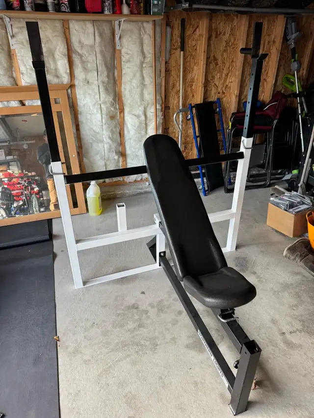 Northern Lights Weight Bench605035280246384642