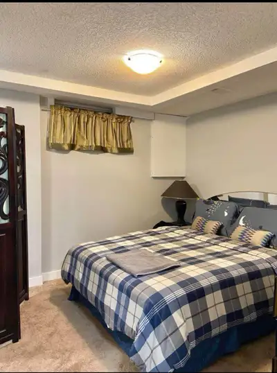 1 Basement Bedroom