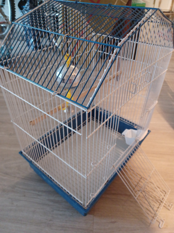 Birdcage with a swing and disco-ball like new in Birds for Rehoming in Abbotsford