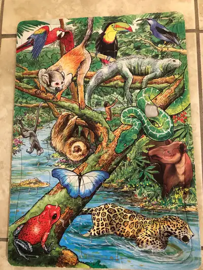 Cobblehill 35 Piece Puzzle, Life In A Tropical Rain Forest, View more