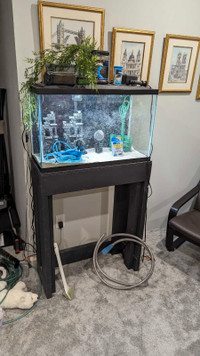 29 gallon aquarium with stand
