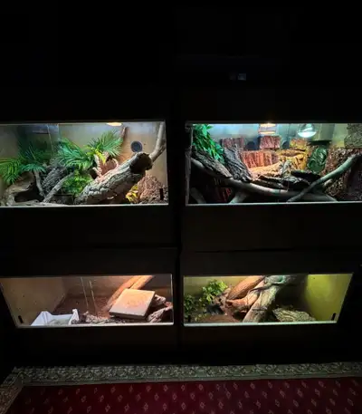 4x3x2 wooden enclosures full lighting and heat integrated , View more