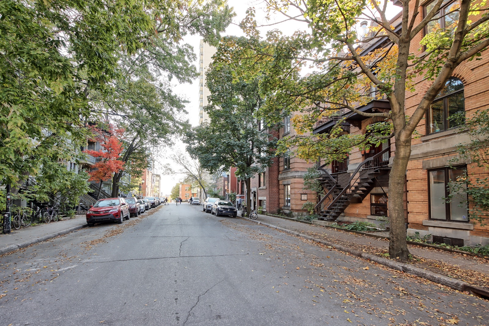 2 bdr renovated - Plateau - 4 1/2 renové from Sep 1st — photo 1