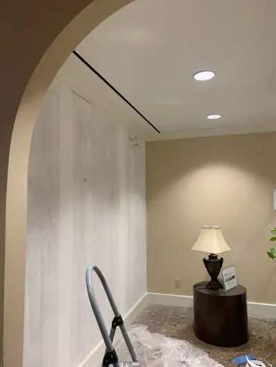 Professional painter , View more