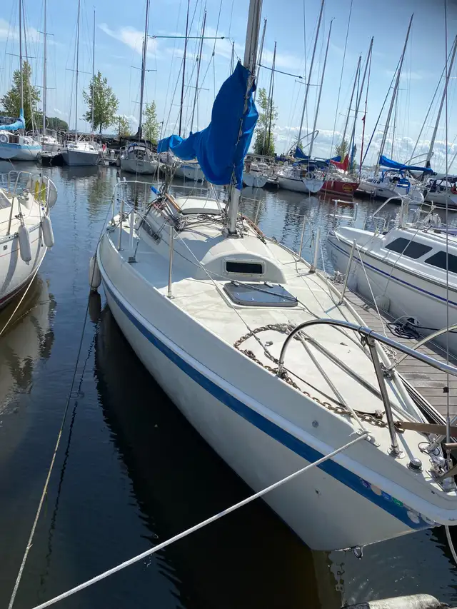 À vendre – Tanzer 26 (1982) in Sailboats in Gatineau - Image 3