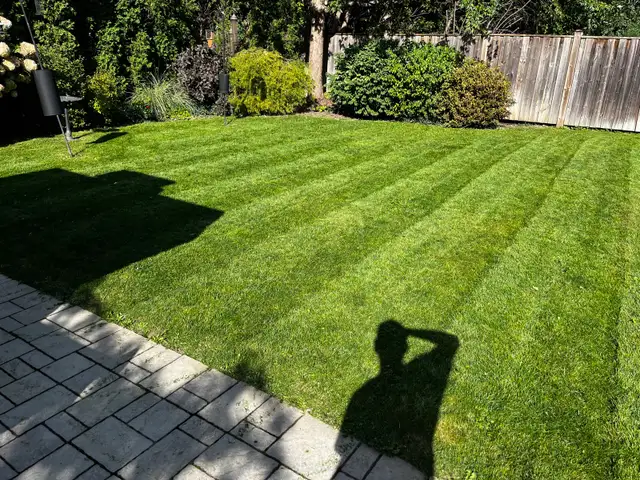 Mowing, Trimming & Edging $49, Lawn Care In Etobicoke & Toronto in Lawn, Tree Maintenance & Eavestrough in City of Toronto - Image 8