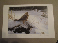 Tony Bianco print (Hunter at Dawn - Rough Legged Hawk)