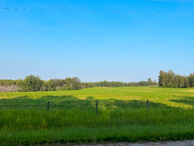 120.92 Acres near Sangudo in Land for Sale in Edmonton