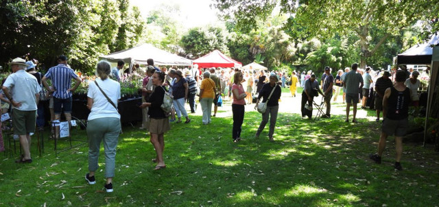 SUMMERLAND DISTRICT MARKET - TUESDAYS in Events in Penticton - Image 3