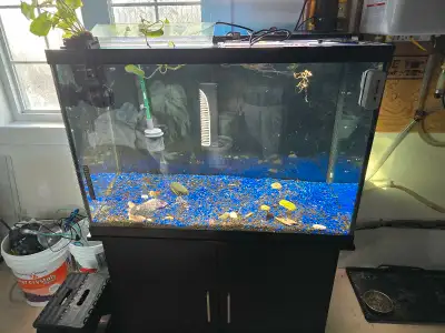 65 gallon aquarium kit, View more