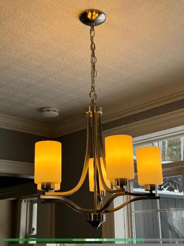 Dinning Chandelier Lighting Fixture 5 LED Dimming Bulbs brushed in Indoor Lighting & Fans in Barrie - Image 9