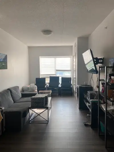 Waterloo 3b2b for rent （near BMO）