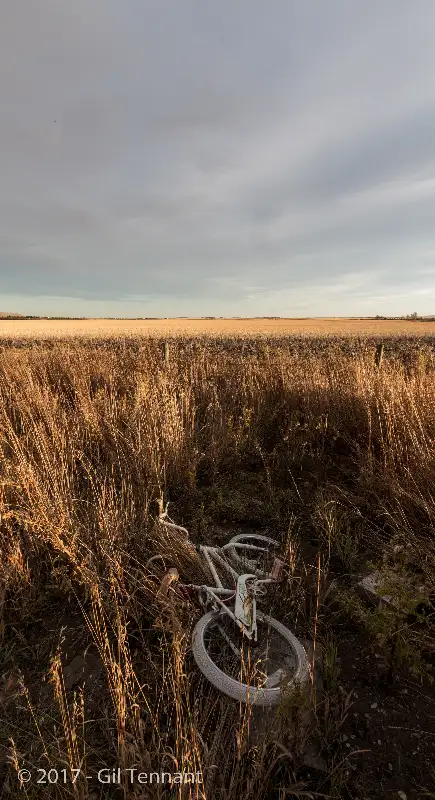 Documenting the older things in life...63654764390913121