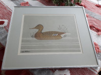 Vintage 'Duck in Water' Picture by Reid Kolman