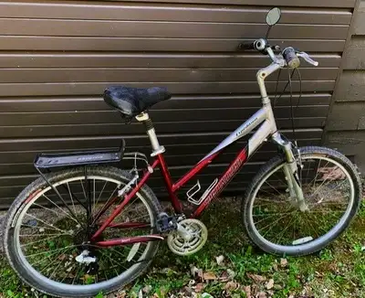 "Specialized" Expedition Bike - adult (26 in. tires), View more