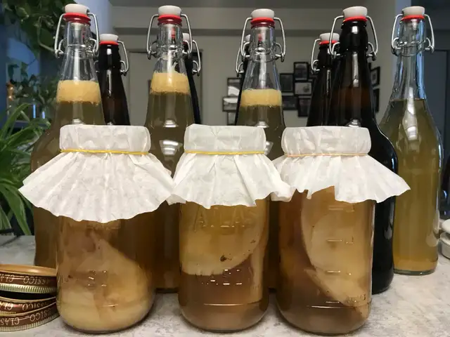 Kombucha Brewing Workshop – Small Group Experience65215451057922122