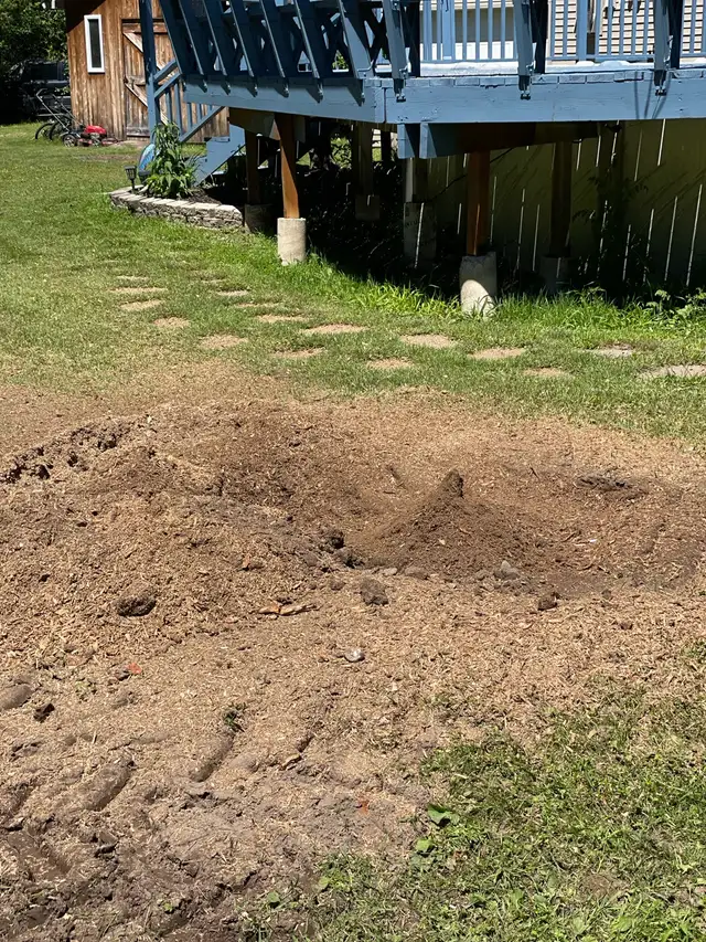 Stump Grinding63284942558337121