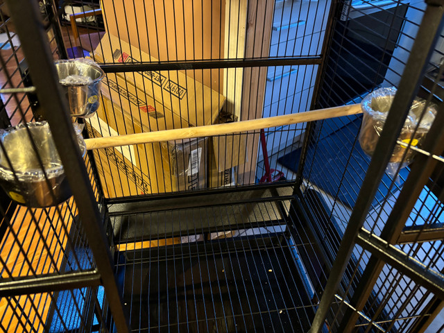 Extra Large Bird Cage For Sale  in Birds for Rehoming in Calgary - Image 4