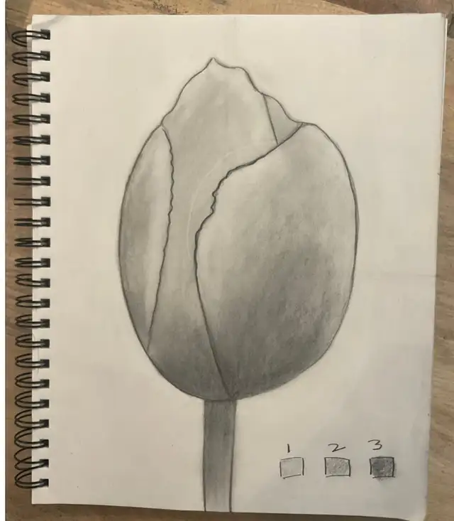Realistic Drawing Course - 16 pre-recorded lessons!469135067480084486