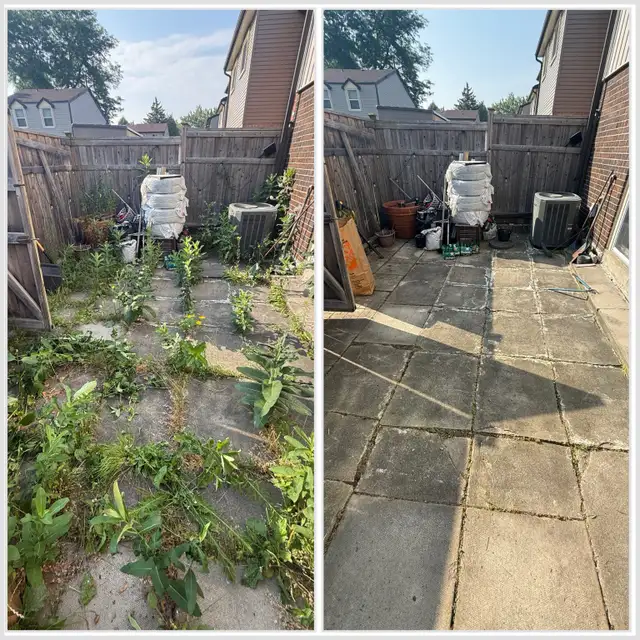 Landscaping & Lawn Care Services | Yard Cleanup & Grass Cutting in Lawn, Tree Maintenance & Eavestrough in City of Toronto - Image 4