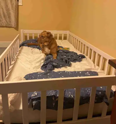 White floor bed  for toddlers, View more