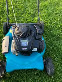 Push lawn mower 