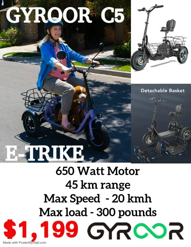 E-BIKES & SCOOTERS529388109038899201