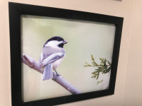 Framed Wildlife Photos