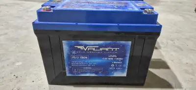 4 lithium deep cycle rv batteries. As good as new. Can sell per pair if needed. After buying them, I...