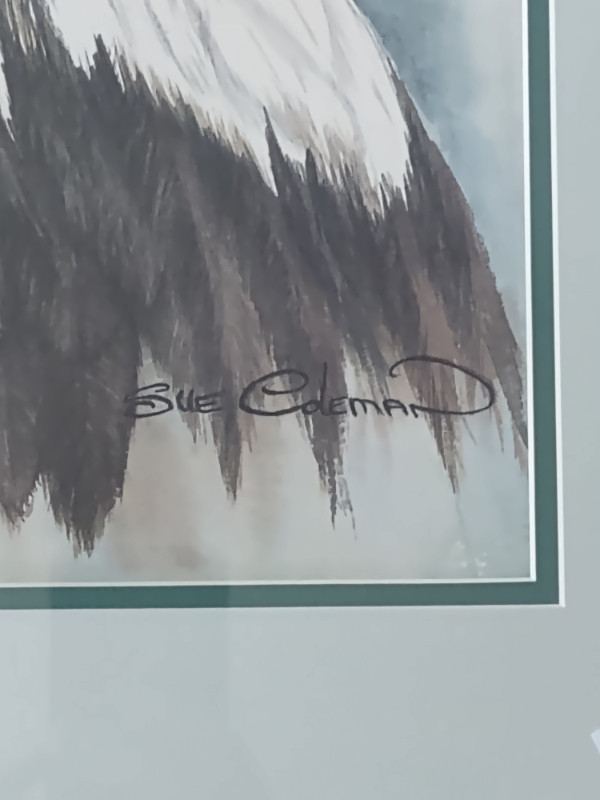 Sue Coleman eye of the eagle print in Arts & Collectibles in Renfrew - Image 3