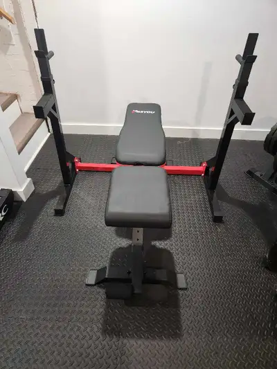 Adjustable Rack & Bench, View more