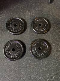 10lbs weight plates 