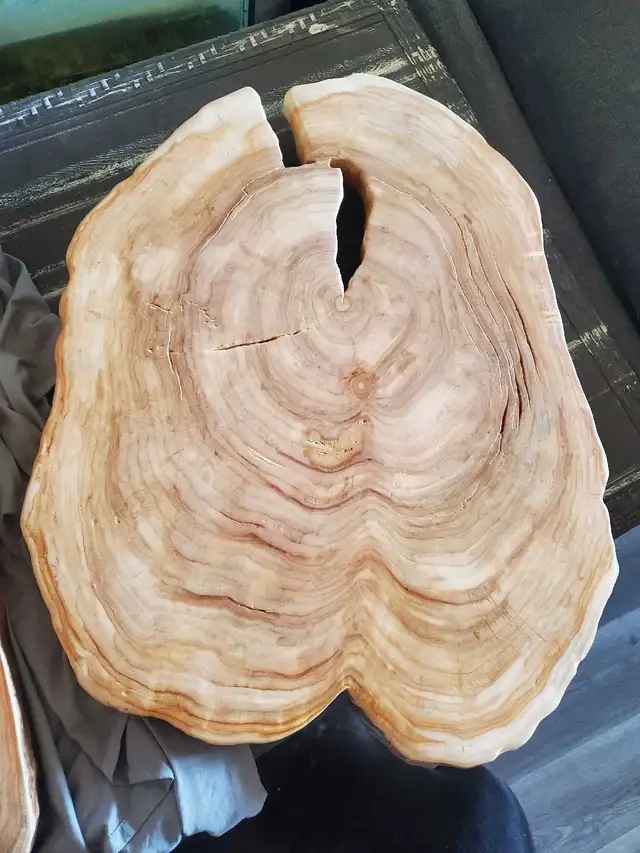 Custom Wood Projects  in Hobbies & Crafts in Regina - Image 5