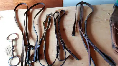 Nylon saddle bags $5 Brown synthetic stirrups new $20 5" French link $15 Loose ring snaffles $5 Elas...