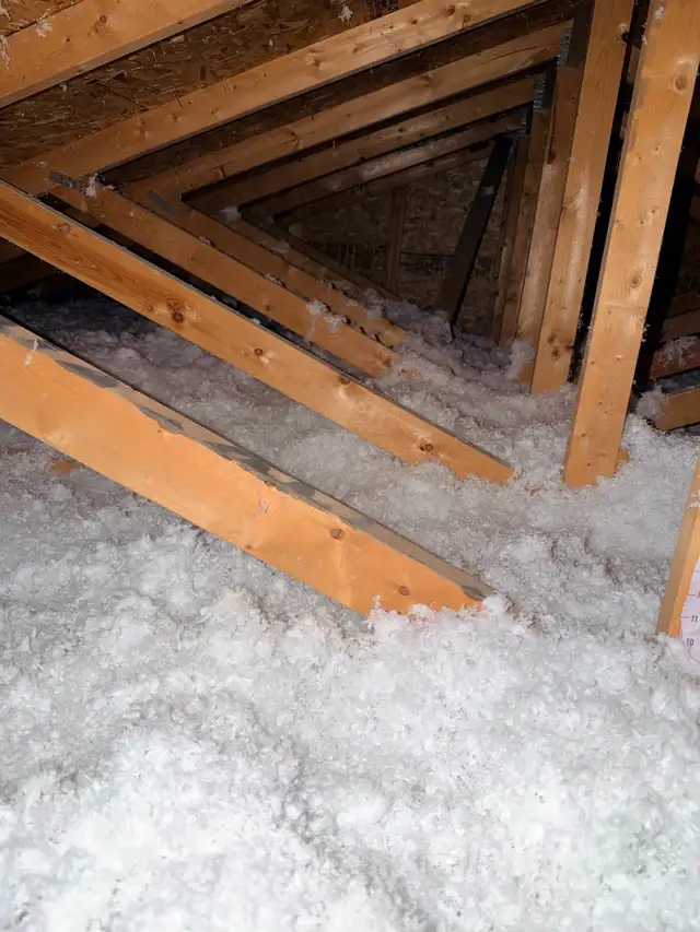 Attic Insulation577858272798986246