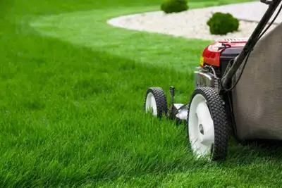 Lawn Mowing and Care , View more