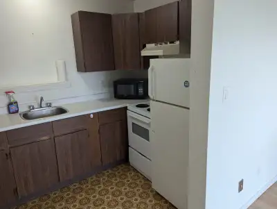 1 bedroom apartment in Downtown Whitehorse. Utilities are not included. 1 parking (plug-in) included...