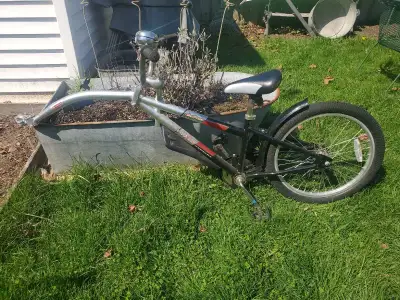 Weride Tag along bike with attachments, View more