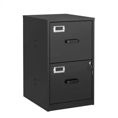 STANI 2 Drawer Filing Cabinet with Lock, View more