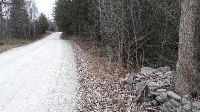 PRIVATE Five Wooded Acres-8 minutes from Renfrew...$190,000 in Land for Sale in Renfrew - Image 2